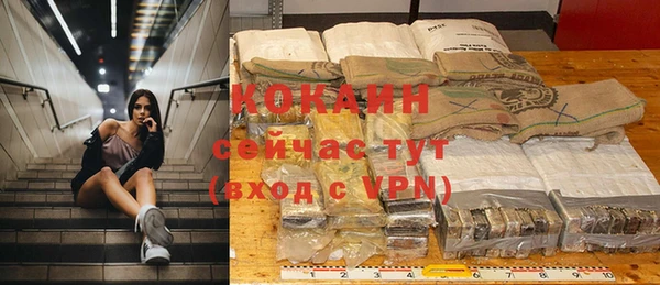 mdpv Бородино