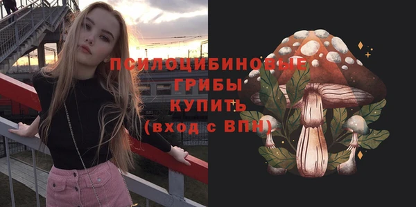 mdpv Бородино