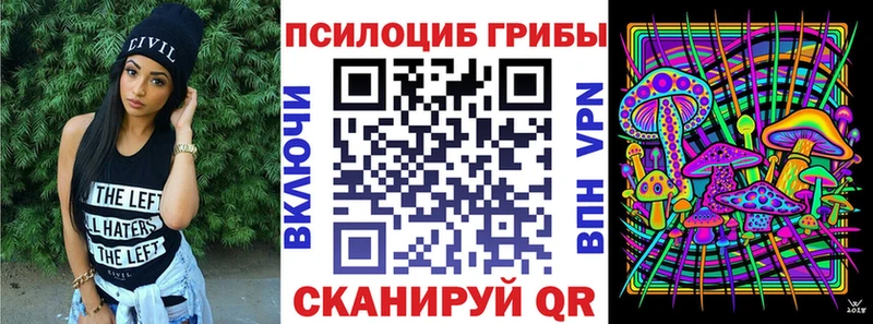 Псилоцибиновые грибы GOLDEN TEACHER  как найти закладки  Гороховец 
